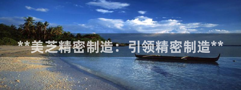彩神ix能赚钱吗：**美芝精密制造：引领精密制造**