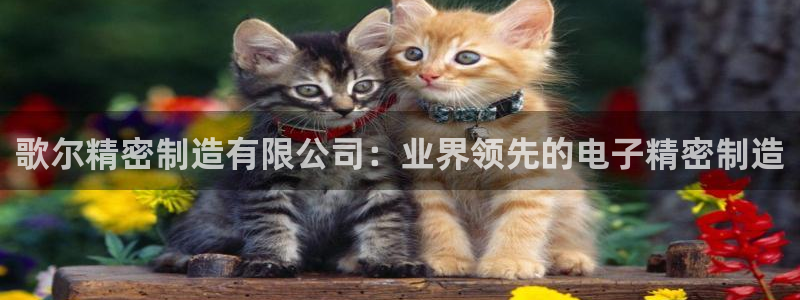 彩神平台能提现吗：歌尔精密制造有限公司：业界领先的电子精密制造