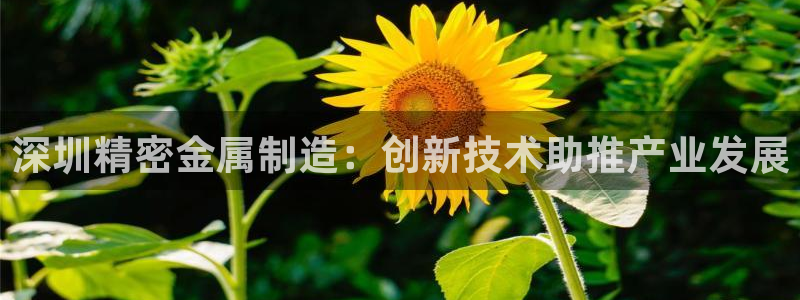 下载彩神乐发V：深圳精密金属制造：创新技术助推产业发展