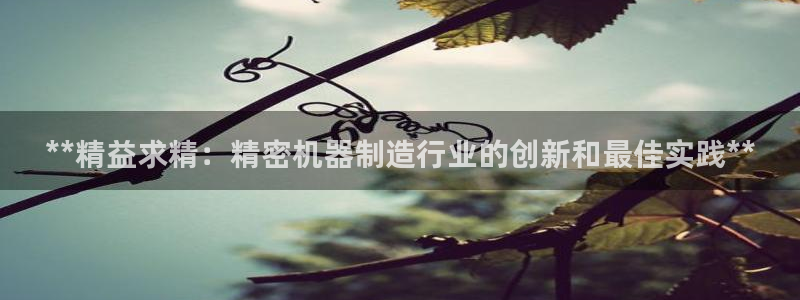 彩神ll能赚钱吗：**精益求精：精密机器制造行业的创新和最佳实践**