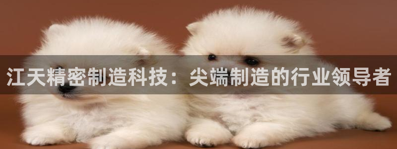 彩神平台之间是什么关系：江天精密制造科技：尖端制造的行业领导者