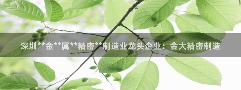 彩神v8下载：深圳**金**属**精密**制造业龙头企业：金大精密制造