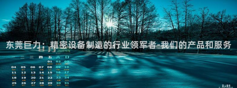 彩神8app官方下载：东莞巨力：精密设备制造的行业领军者-我们的产品和服务