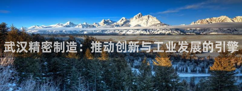 彩神v8是一个什么平台：武汉精密制造：推动创新与工业发展的引擎