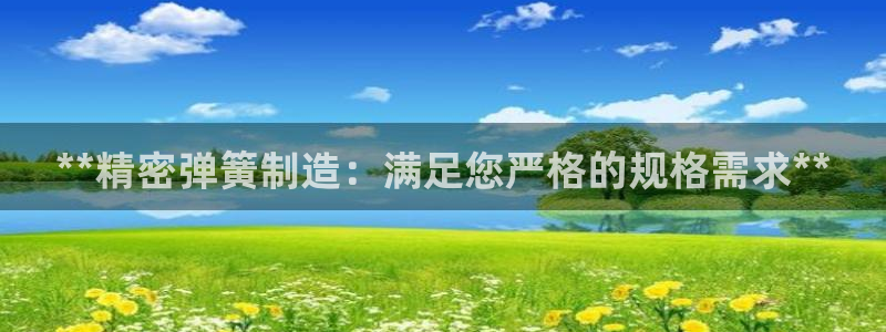 彩神v8有多久了?靠谱吗：**精密弹簧制造：满足您严格的规格需求**