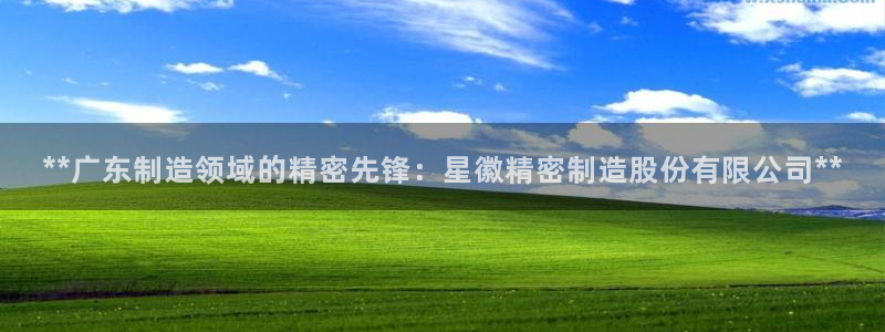 彩神输的钱是赌博还是诈骗：**广东制造领域的精密先锋：星徽精密制造股份有限公司**