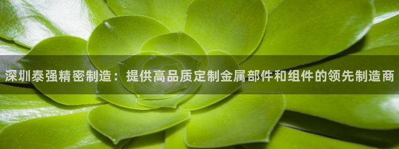 彩神v8是一个什么平台游戏：深圳泰强精密制造：提供高品质定制金属部件和组件的领先制造商