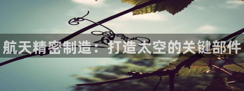 彩神vii官网大赢家：航天精密制造：打造太空的关键部件