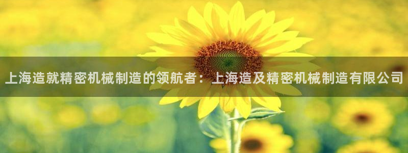 彩神vii官网：上海造就精密机械制造的领航者：上海造及精密机械制造有限公司