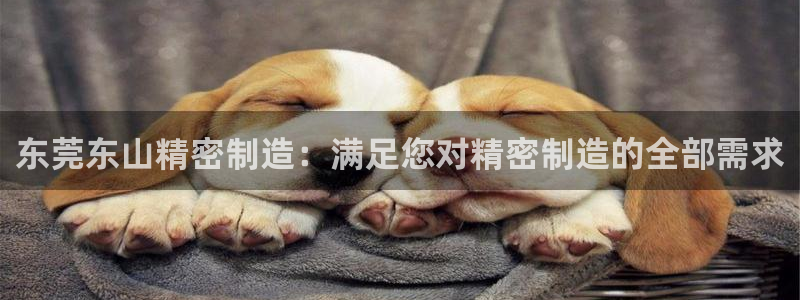 彩神v8官网版：东莞东山精密制造：满足您对精密制造的全部需求