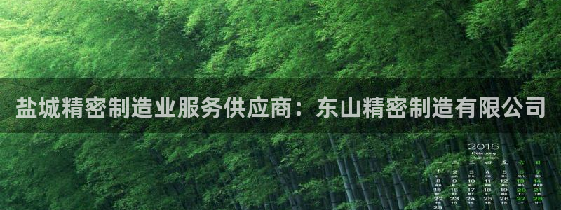 彩神网官网登录：盐城精密制造业服务供应商：东山精密制造有限公司