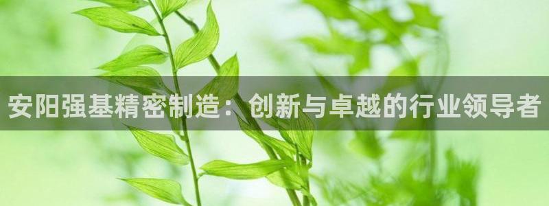 彩神 好 平台：安阳强基精密制造：创新与卓越的行业领导者
