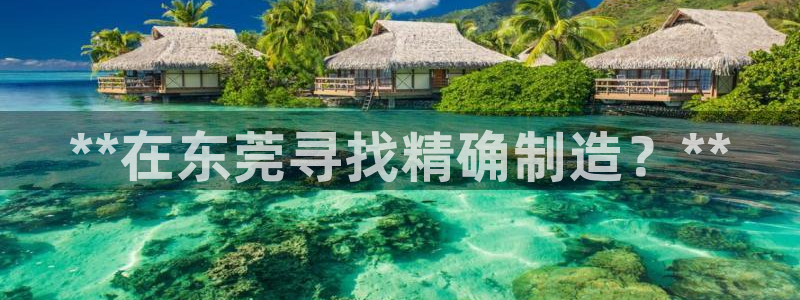 彩神v8下载app：**在东莞寻找精确制造？**