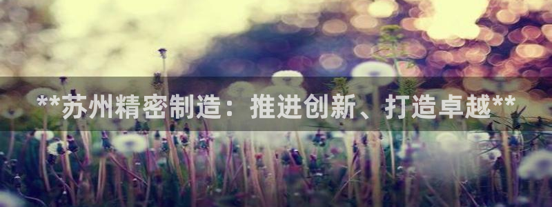 彩神平台：**苏州精密制造：推进创新、打造卓越**