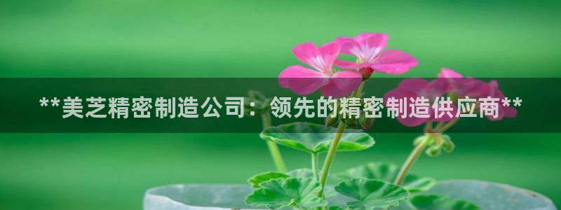 彩神vlll(中国)百度百科：**美芝精密制造公司：领先的精密制造供应商**