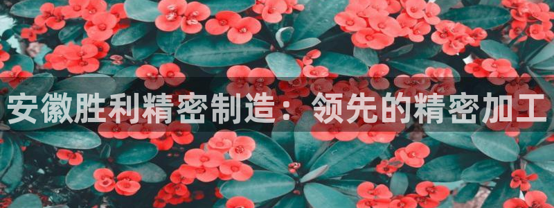 彩神vll趣投彩：安徽胜利精密制造：领先的精密加工