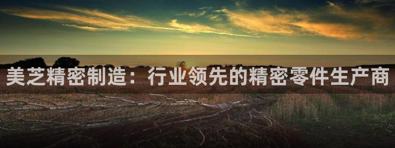 彩神v8首页：美芝精密制造：行业领先的精密零件生产商