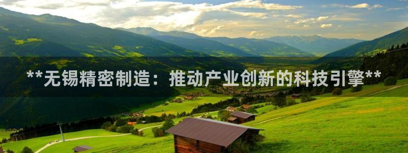 彩神网可以赚钱是真的吗：**无锡精密制造：推动产业创新的科技引擎**