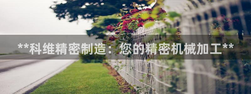 彩神网官网登录：**科维精密制造：您的精密机械加工**