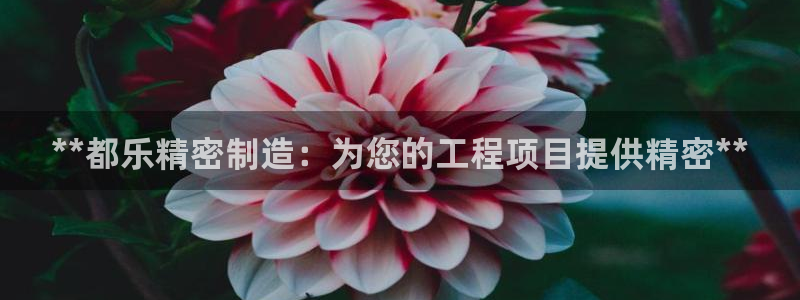 彩神Vll购彩大厅：**都乐精密制造：为您的工程项目提供精密**