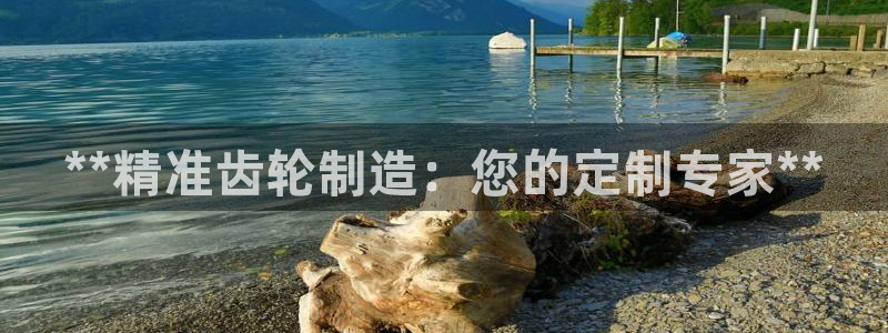 彩神8软件下载：**精准齿轮制造：您的定制专家**