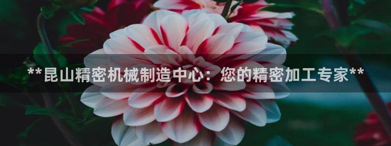 彩神v8有多久了?靠谱吗：**昆山精密机械制造中心：您的精密加工专家**
