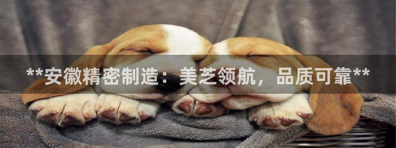 彩神vll趣投彩：**安徽精密制造：美芝领航，品质可靠**