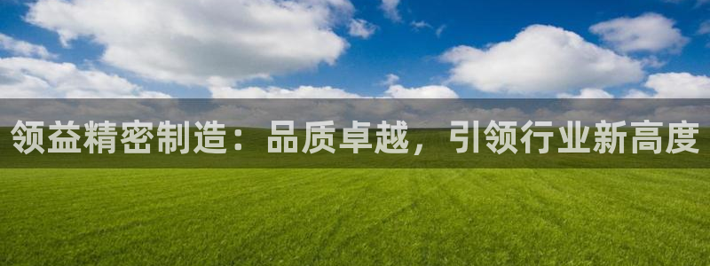 彩神v8iii：领益精密制造：品质卓越，引领行业新高度