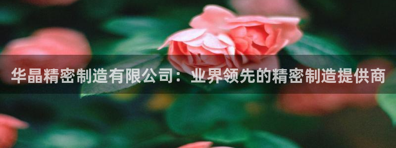 彩神购彩-购彩大厅入口老版：华晶精密制造有限公司：业界领先的精密制造提供商
