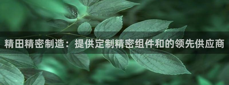 彩神vi官网版：精田精密制造：提供定制精密组件和的领先供应商