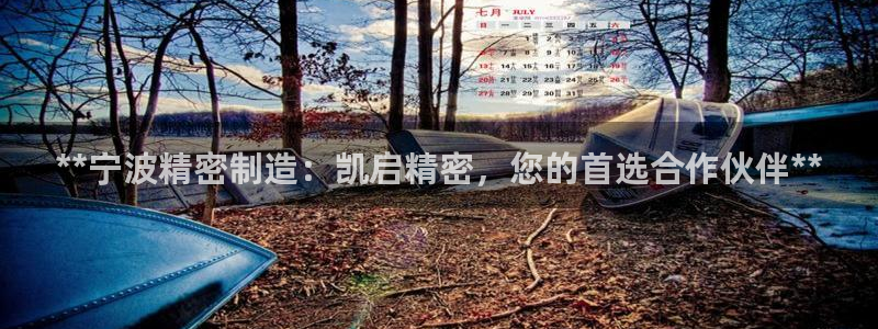 彩神平台注册登录：**宁波精密制造：凯启精密，您的首选合作伙伴**