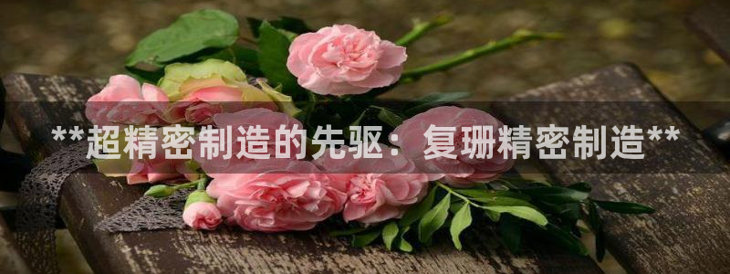 彩神8彩平台客服：**超精密制造的先驱：复珊精密制造**