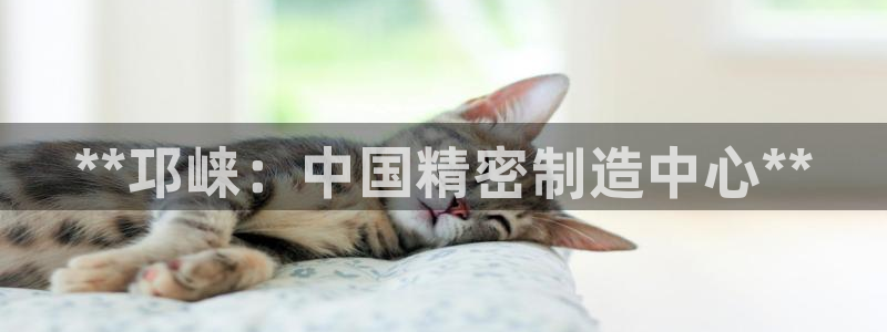 彩神iv能赚钱吗：**邛崃：中国精密制造中心**