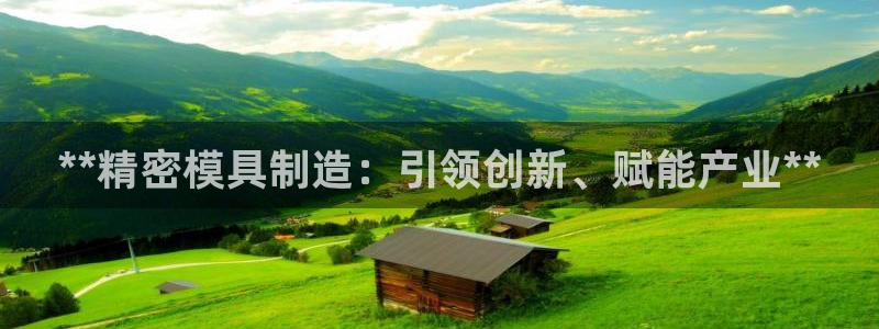 彩神8最新版下载：**精密模具制造：引领创新、赋能产业**