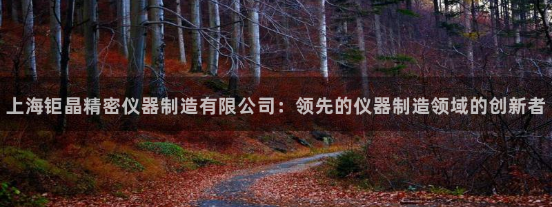 彩神广告有限公司：上海钜晶精密仪器制造有限公司：领先的仪器制造领域的创新者