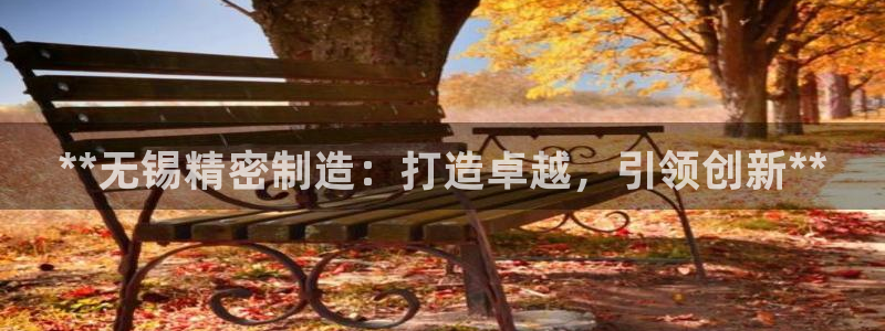 彩神旗下有哪些平台可以看：**无锡精密制造：打造卓越，引领创新**