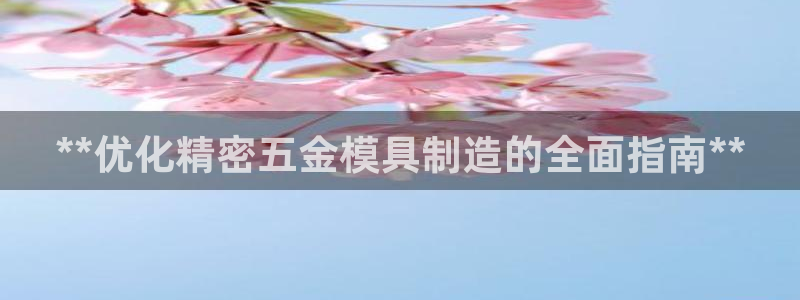 彩神v8手机客户端下载：**优化精密五金模具制造的全面指南**