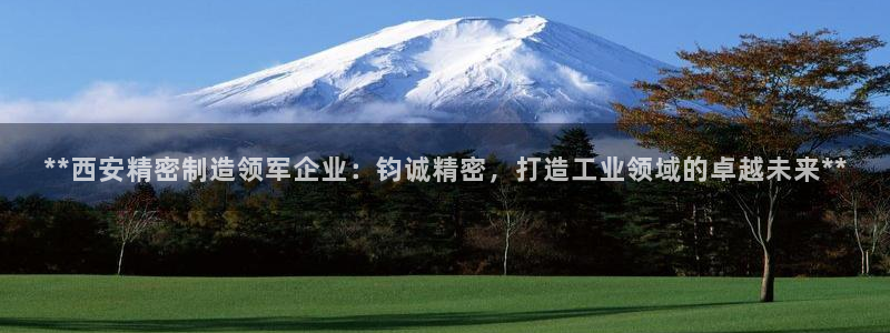 彩神官方网站登录是多少：**西安精密制造领军企业：钧诚精密，打造工业领域的卓越未来**