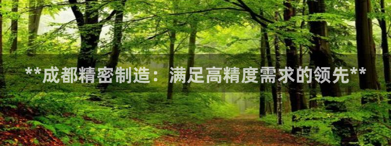 彩神趣购彩用户注册：**成都精密制造：满足高精度需求的领先**