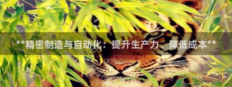 天天彩神welcome：**精密制造与自动化：提升生产力、降低成本**