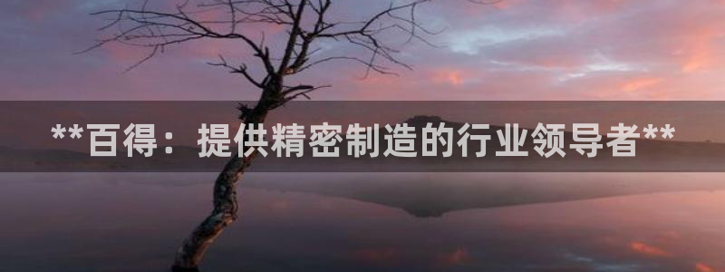 天天彩神welcome：**百得：提供精密制造的行业领导者**