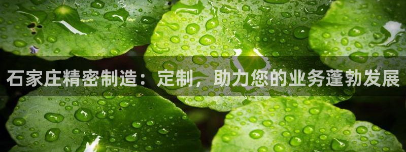 彩神是正规平台吗知乎：石家庄精密制造：定制，助力您的业务蓬勃发展