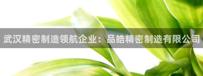 彩神8是正规平台吗：武汉精密制造领航企业：品皓精密制造有限公司