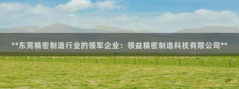 彩神vii手游下载：**东莞精密制造行业的领军企业：领益精密制造科技有限公司**