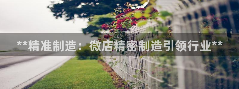 彩神v1官网：**精准制造：微店精密制造引领行业**