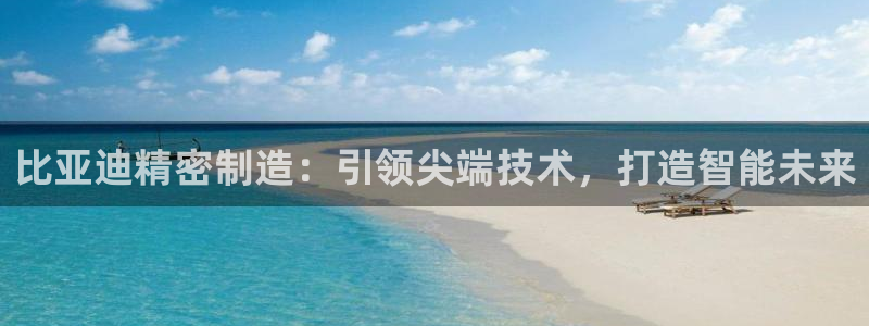 彩神大发是不是人为操作：比亚迪精密制造：引领尖端技术，打造智能未来