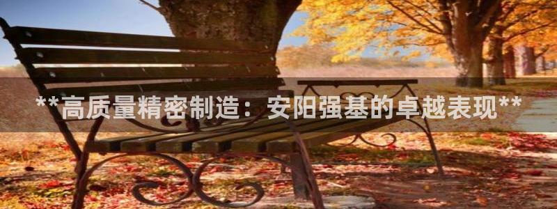 彩神购彩-购彩大厅入口500：**高质量精密制造：安阳强基的卓越表现**