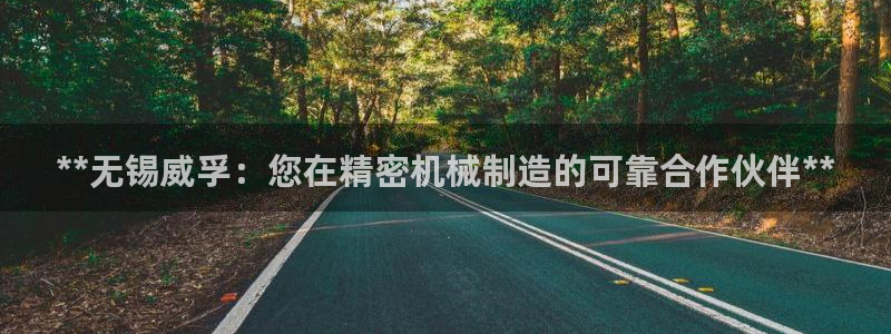 彩神v8是一个什么平台游戏：**无锡威孚：您在精密机械制造的可靠合作伙伴**