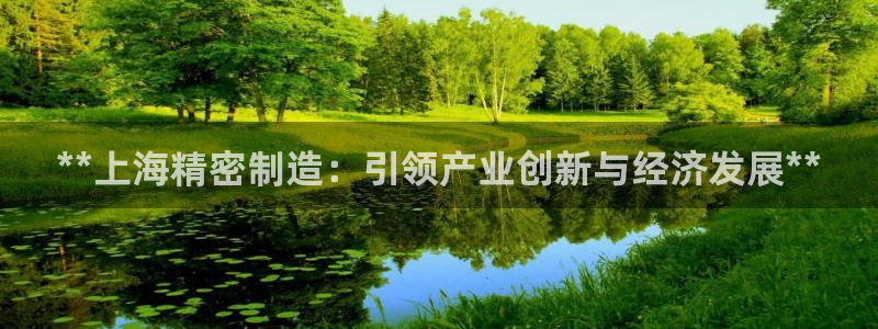 彩神v1官网：**上海精密制造：引领产业创新与经济发展**