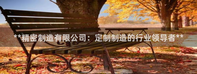 彩神8软件下载：**精密制造有限公司：定制制造的行业领导者**